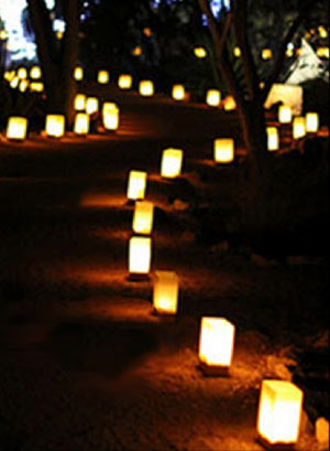A campus walkway lined with luminarias