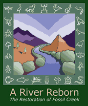 a river reborn
