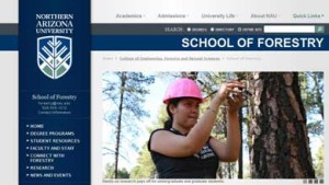 University to unveil revamped website