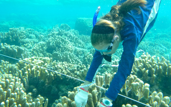 Sampling coral in a Saipan lagoon.