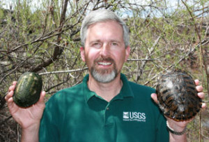 Jeff Lovich and turtles