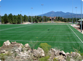new south field