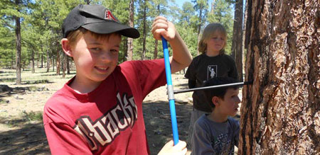 Kids at the forestry camp