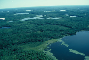 Aerial view of Minnesota peatlands