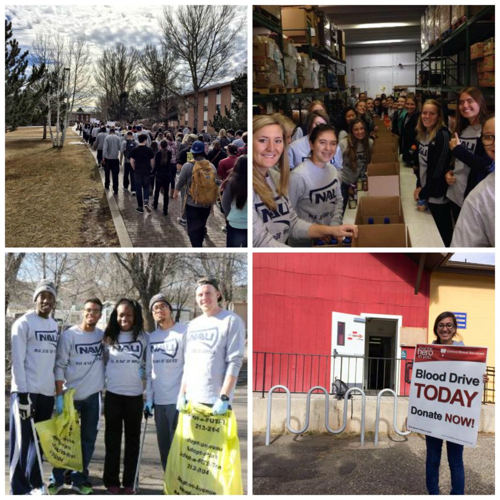 MLK Day of Service examples collage