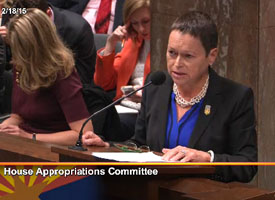 Cheng speaks at the House Appropriations Committee