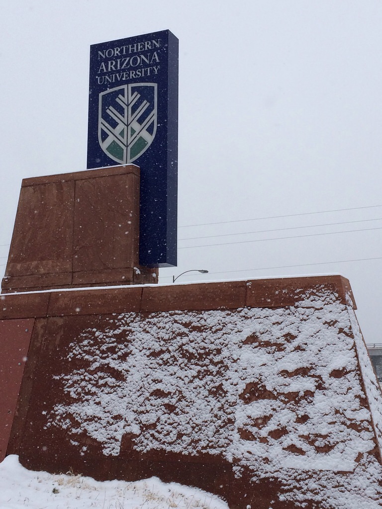 NAU on regular schedule Tuesday, Nov. 17 The NAU Review