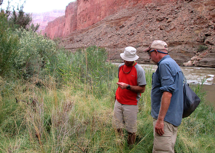 Grad student and professor collect samples along the Colorado River