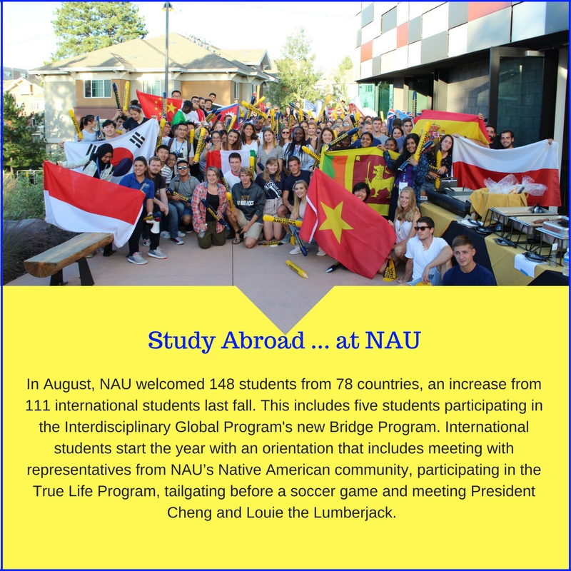 study abroad graphic