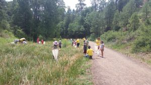 Campers collecting insects