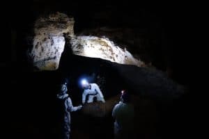 Researchers in bat cave
