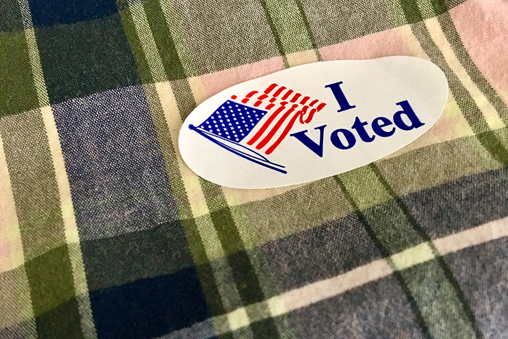 I voted sticker on flannel shirt