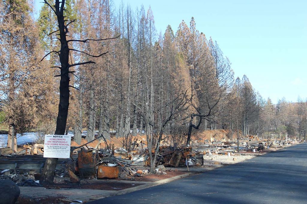 Destruction from Camp Fire in Paradise