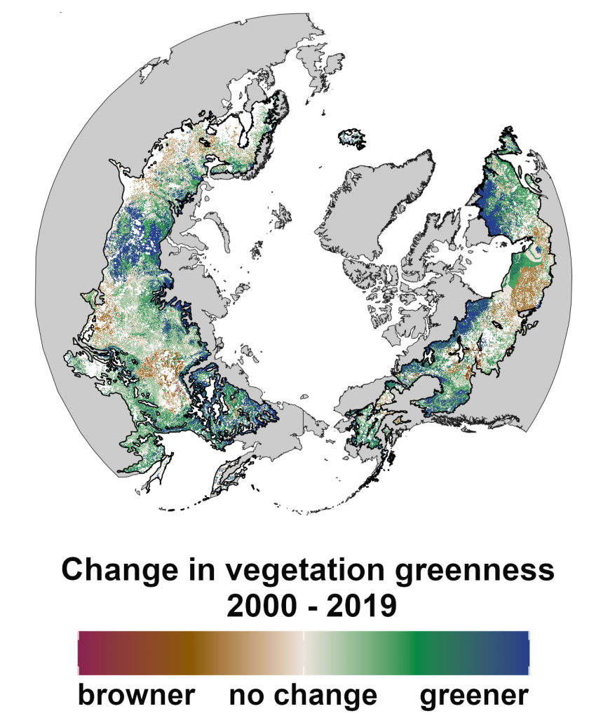 Graphic showing a change in vegetation greenness 2000-2019