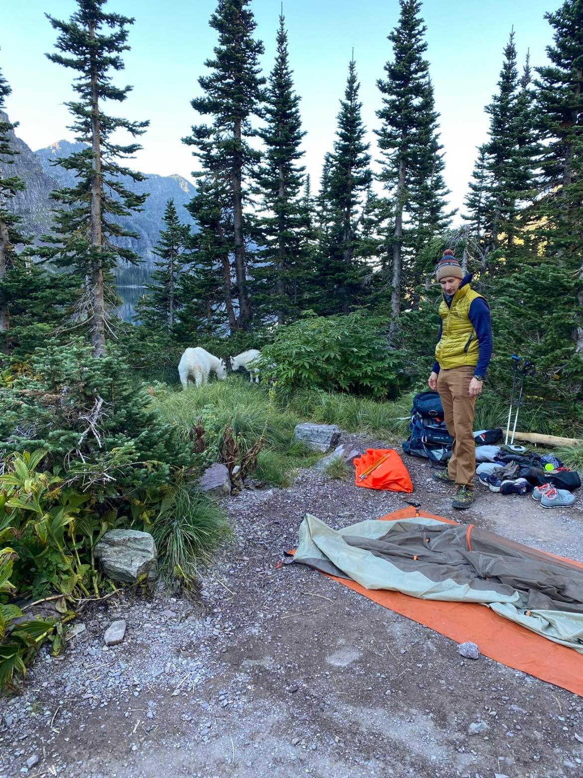 Jensen sets up camp in Glacier's backcountry.