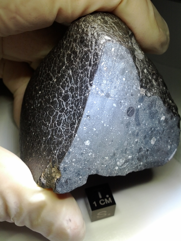 the meteorite Black Beauty