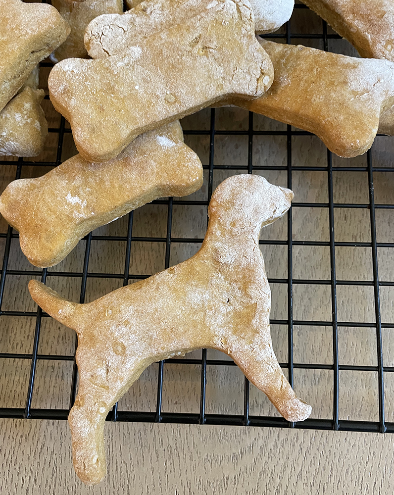 Dog treat in the shape of a dog and bones
