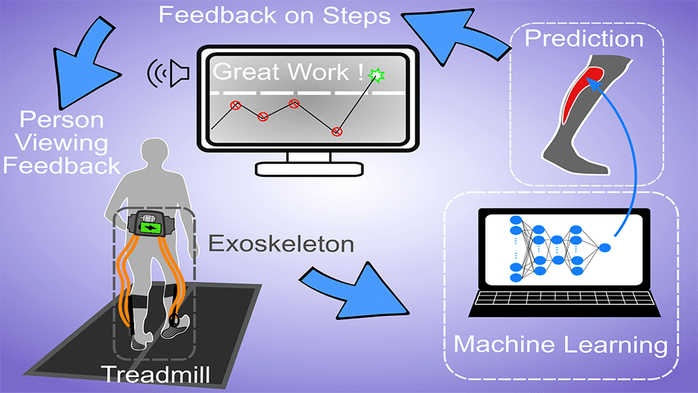 Graphic showing how exoskeletons can help people with cerebral palsy walk
