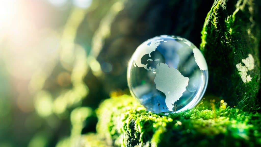 The Earth as a blue marble sitting on mossy rock with sunlight shining down on it.