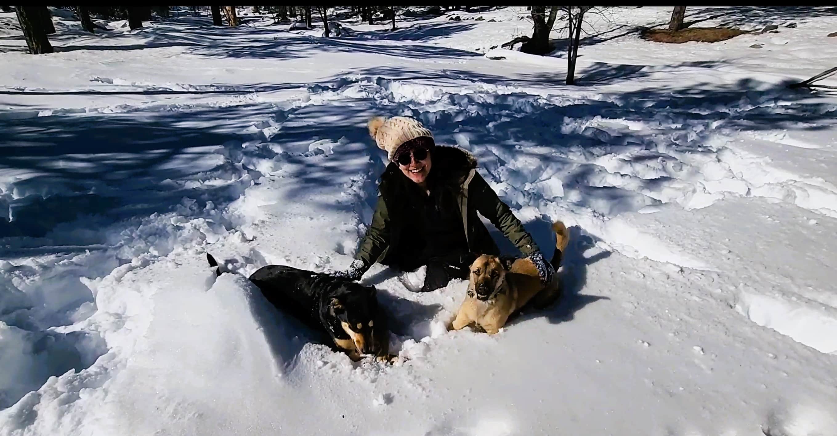 Two pups, Sadie and Anny playing in the Snow with woman behind them. Snowy forest all around