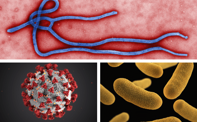 the Ebola virus, SARS-Covd2 virus, Yersinia pestis