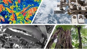 Thermal sensing, space laser, rainforest leaves and canopy
