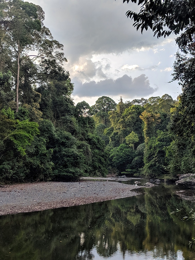 A river and trees under a cloudy sky in Malaysia