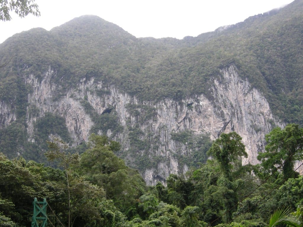 Trees atop of rock cliffs in Gunung Mulu National Park in Malaysia
