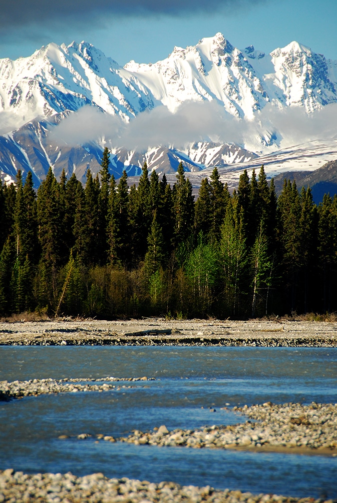 The boreal forest with a lake and snow-covered mountains