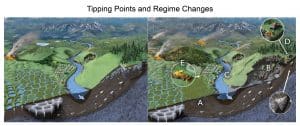 graphic depicting tipping points and regime changes in landscape