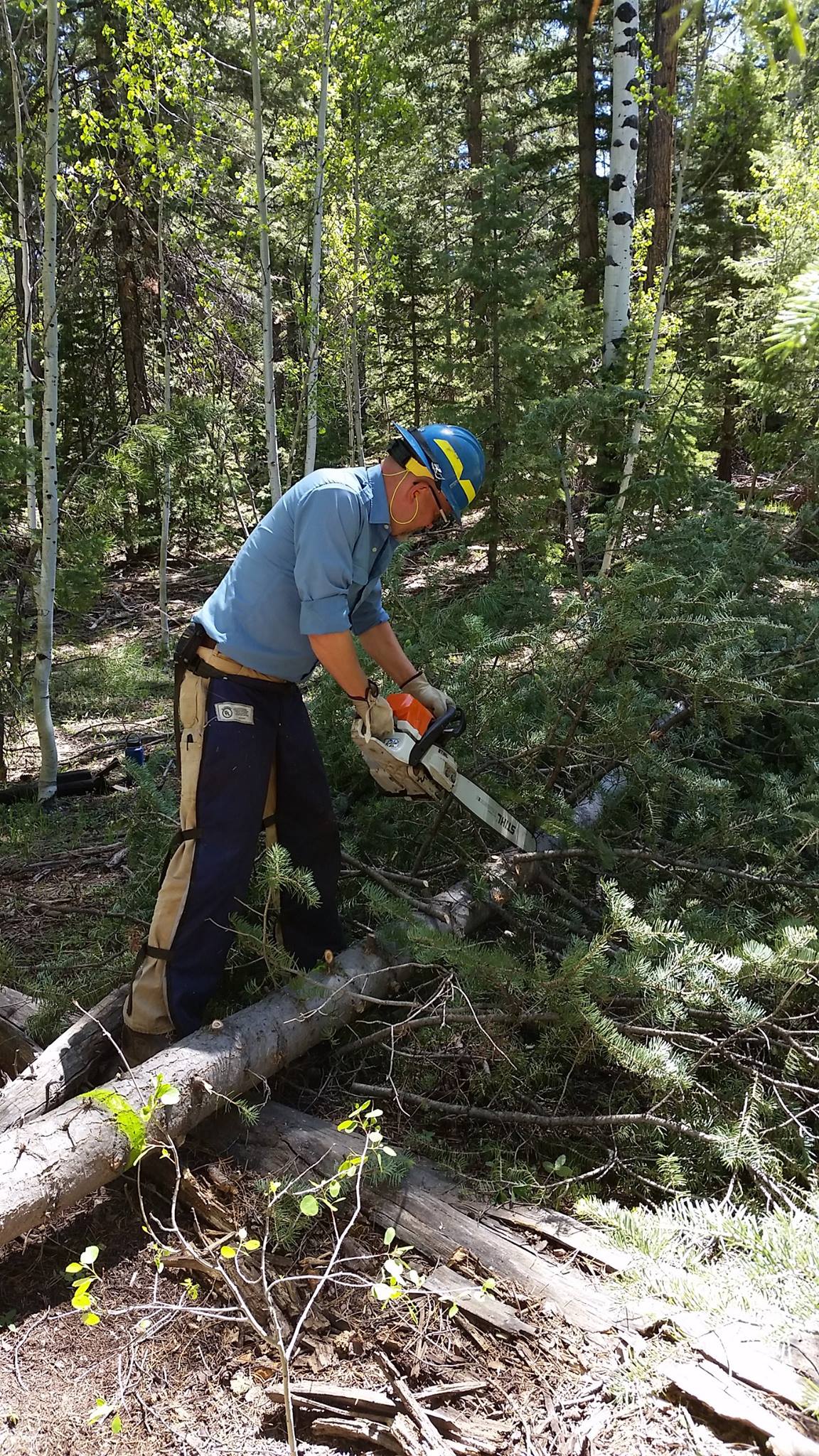 Andrew Sanchez Meador uses a chainsaw on a tree.