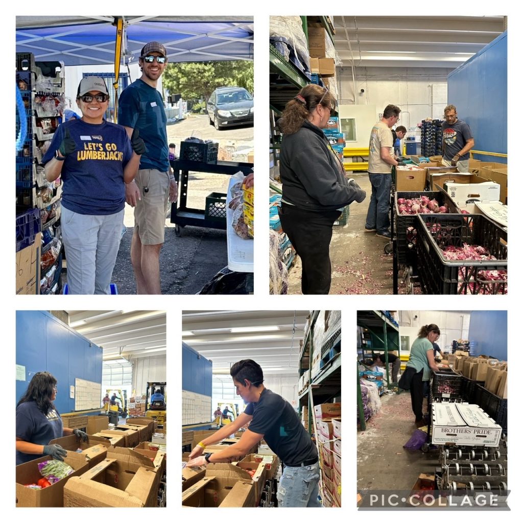 A collage of ITS staff members volunteering at the FFFC