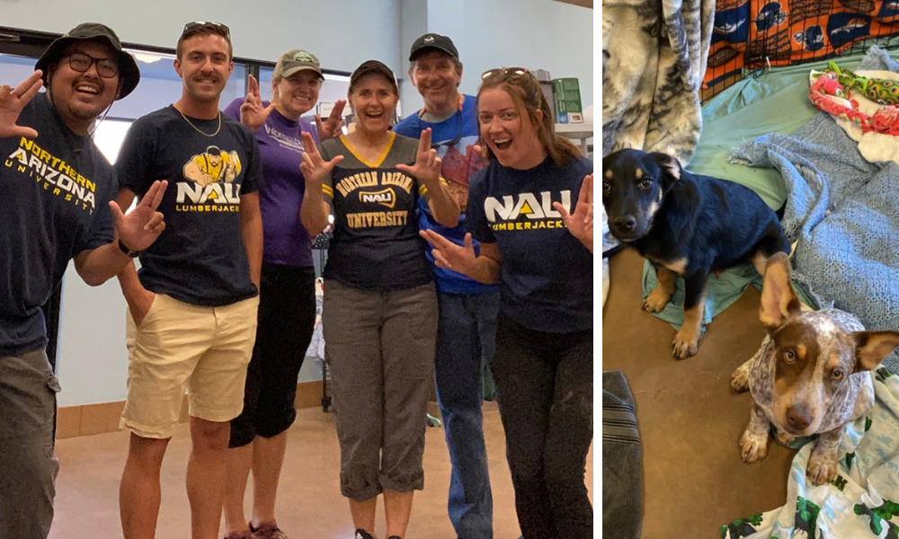 Members of the NAU Communications team give LJs and two cute puppies look at the camera.
