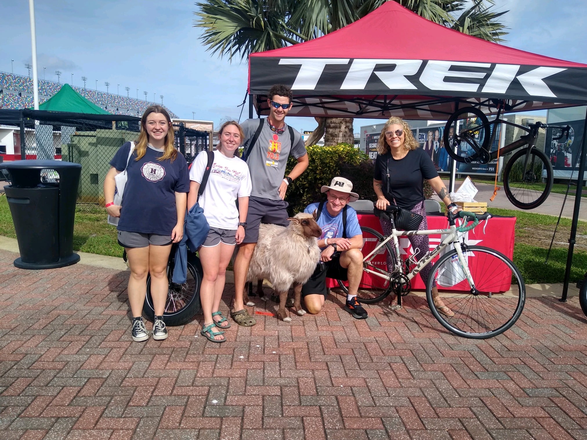 Group of people including Scot and Jillian posing with a sheep at a triathlon event