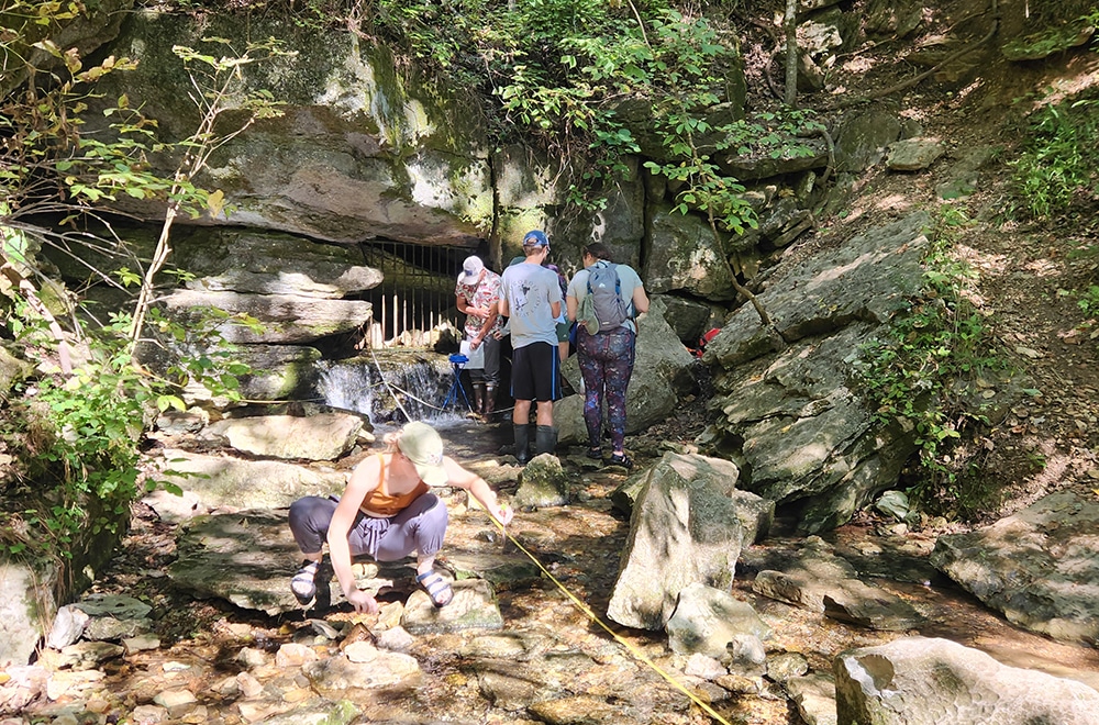Students and professors work at Blowing Springs in Arkansas.