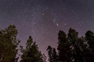 winter sky in Flagstaff, with Orion constellation visible at center