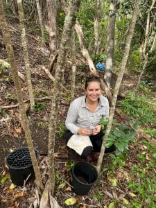 Researcher Sara Gabrielson collects seed samples in an Oahu forest.