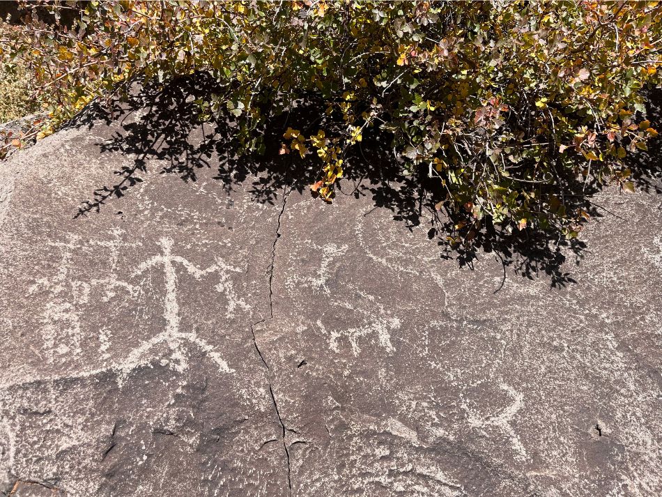 rock surface etched with petroglyphs representing people, animals, and other symbols