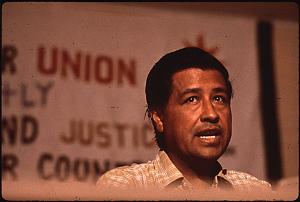 Cesar Chavez, Migrant Workers Union Leader, 1972, speaking at an event.