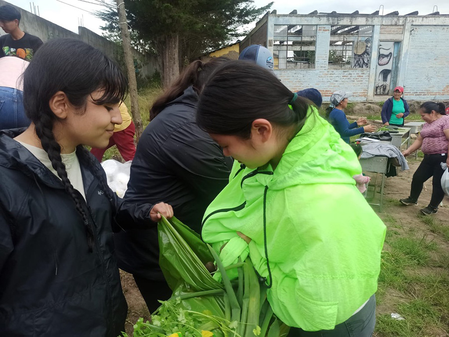 Katrina Nyugen helping to build a community garden in Quito, Ecuador.