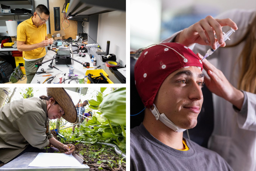 Collage of male researcher working in an engineering lab; female researcher taking notes about plants; and male subject with a cap on his head to measure brain activity.