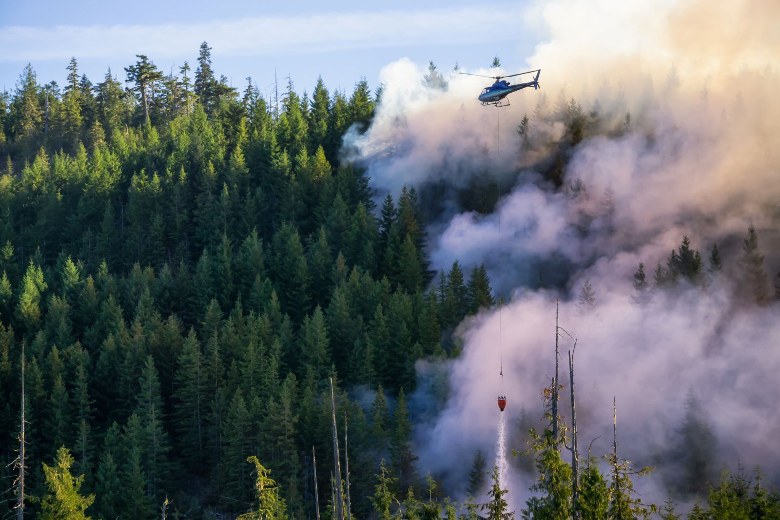 A helicopter flies over a forest with smoke rising from between the trees.