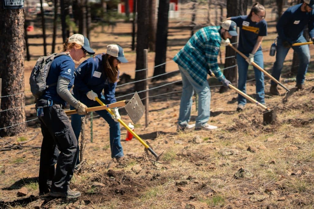 NAU employees dig a fire line in the forest.