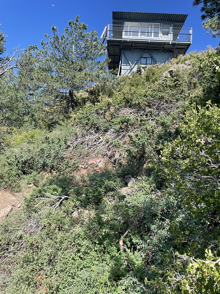 A fire tower on top of a mountain through brush.