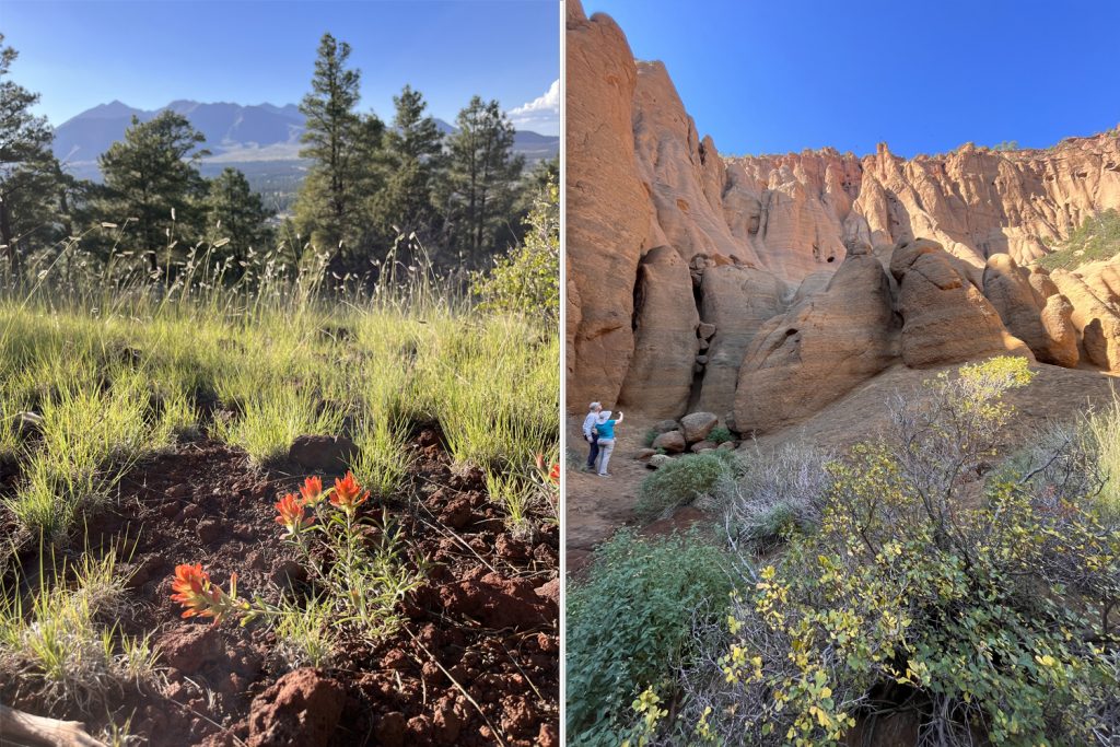 View from the top of Old Caves Crater; view from the end of the trail at Red Mountain