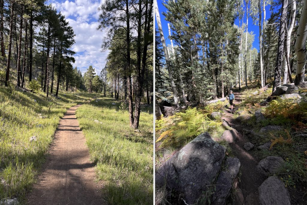 View from the trail at Sandy's Canyon, view from the trail at Kachina Trail