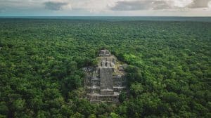 Maya ruins surrounded by tropical green canopy in Campeche