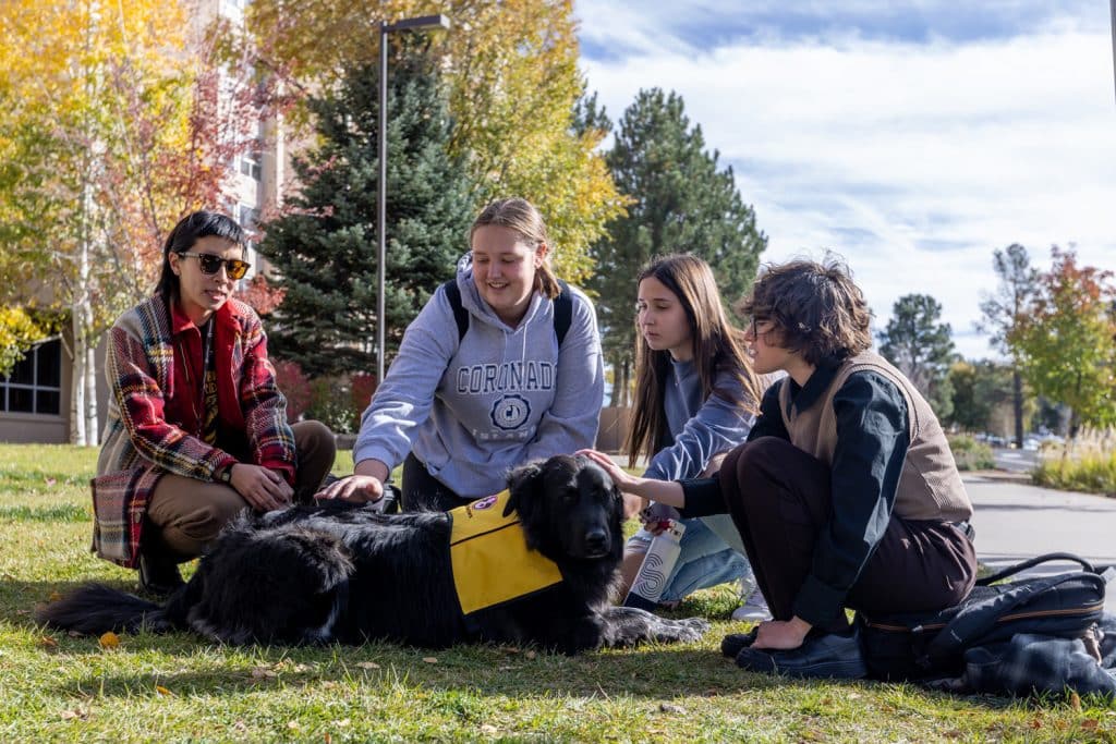 students petting a black lab on the NAU campus