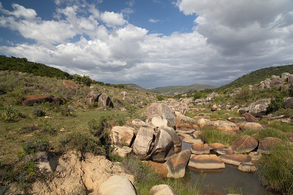 Odonata_Angola_Neve_River_Lubango_credit Jens Kipping