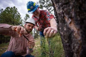 Andrew Sanchez Meador and a student measuring forest growth.